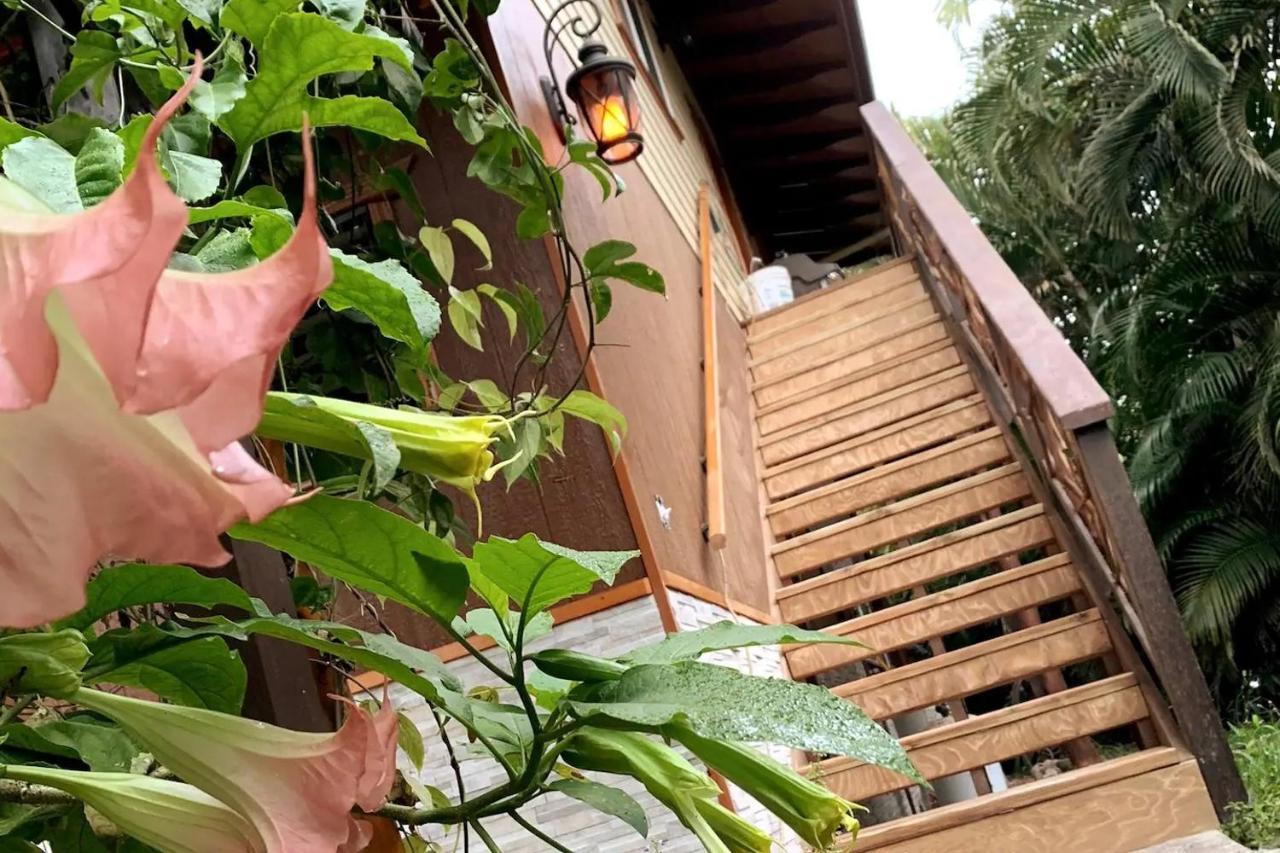 Pahoa Phoenix Garden מראה חיצוני תמונה