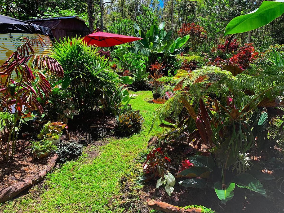Pahoa Phoenix Garden מראה חיצוני תמונה