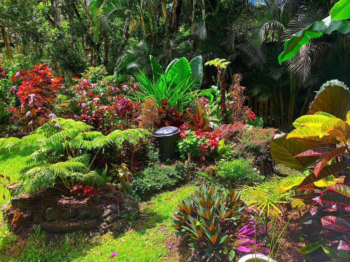 Pahoa Phoenix Garden מראה חיצוני תמונה