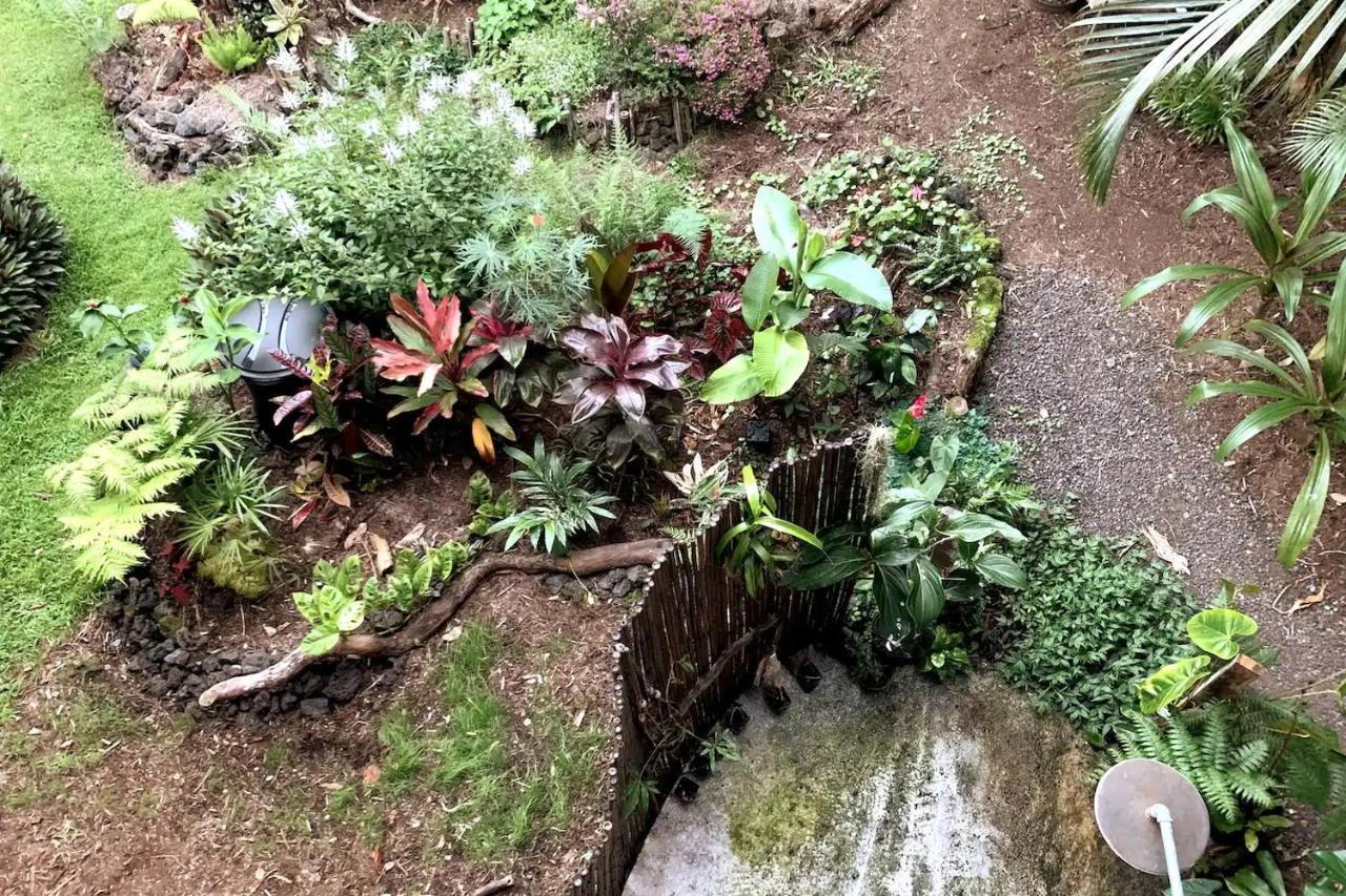 Pahoa Phoenix Garden מראה חיצוני תמונה